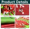 Merry Christmas Banner Backdrop Decoration- 5x3FT (Christmas)